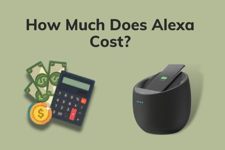 How Much Does Alexa Cost In 2023? Latest Models