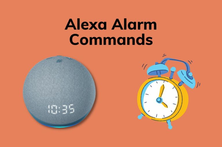 Alexa Alarm Commands: How to Setup and Use? 2 Methods