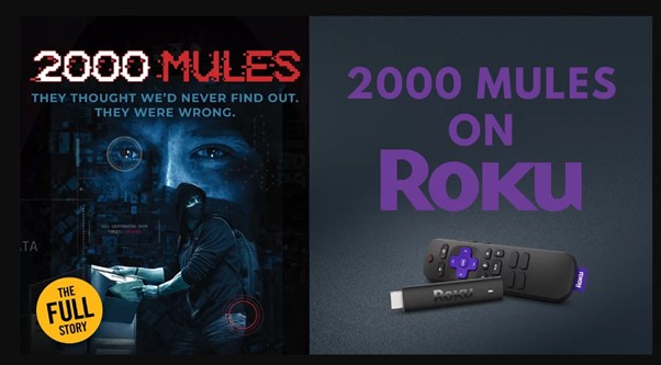 How To Watch 2000 Mules On Roku? 6 Ultimate Ways
